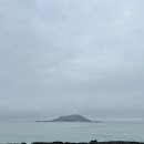 삼싹농장 | 제주도 한바퀴 3박 4일 여행 (2일차)