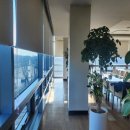 윈스크린 | 햇빛 차단? 인테리어 완성?롤스크린 설치하고 인생 달라졌어요✨ (윈스크린 후기)