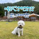 그자리야영장 이미지