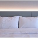 이터널블루 이미지