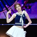 정세비 카카오 검색결과