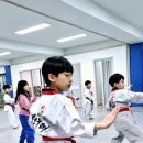 퍼스트 천무 태권도장 이미지