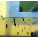 무주곤충박물관 이미지