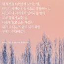 당신이 글을 쓰면 좋겠습니다 | 김정선-당신이 글을 쓰면 좋겠습니다 독서 리뷰 / 글쓰기 에세이 추천