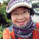 솔향이 진한 이미지