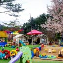 보리산 캠핑장 이미지