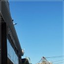 비발디의아침 | 비발디파크 리프트권 가격 할인 업체 후기