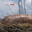 모래벌농장 이미지