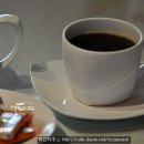 카페스토리 Daum카페