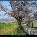 운산목장 이미지