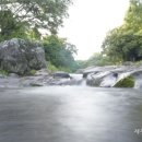 솜반내(솜반천) 이미지