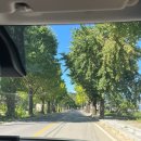 스피드존 이미지