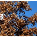 황성공원 이미지