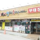 장어짚