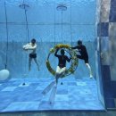 후크 | 용인 딥스테이션 프리다이빙 후기｜후크다이브 체험 다이빙 솔직 리뷰