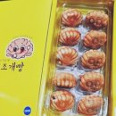 소확행 | 🐚동해명물 조개빵 선물받았어요 🎁 바다향 가득 소확행 간식 리얼후기