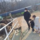 정말농장 이미지