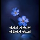 수토리.s