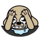 한지의 배신