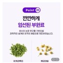 딥케어 식물성 멜라토닌 500ml 30정 이미지