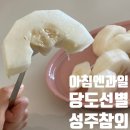 성주과일할인마트 | 성주참외 1kg 후기: 싼 거 찾다 실패하지 말고 '아침 and 과일'에서 정착하세요! ✨