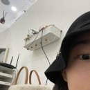 플러피비네일 이미지