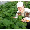 김동주농장 이미지