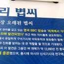 미래식품축산물가공 이미지