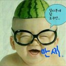 하나 둘 셋 넷 이미지