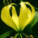 장현3리 이미지