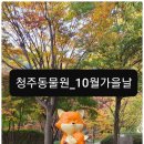 철암어린이집_경계10m | 입장료 저렴한 청주동물원 이용후기!(+청주랜드)