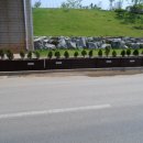 양지로·양지남로 이미지