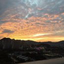 동부센텀공인중개사사무소 이미지