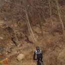 DSC009780.JPG 이미지