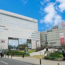여유 | 도심 속 여유, Solaria Nishitetsu Hotel Fukuoka 실숙 후기 공개