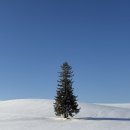 월드넷 | 삿포로 겨울 렌트카 여행 후기｜월드넷 렌트카 신치토세 공항 이용