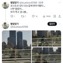 실시간 변우석 목격담.X 이미지