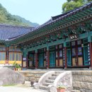 해인사 티스토리