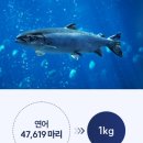 건강탐구실 이미지
