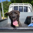 안의리마을회관 이미지