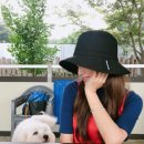 펫데이트 이미지