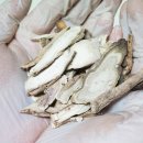 영화식품 | 쌀쌀한 날씨, 따뜻함 충전! 영화식품 쌍화차 솔직 후기