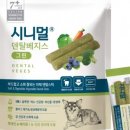 그린덴탈 이미지