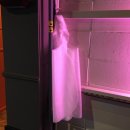 국대육구이 이미지