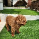 학산3리 이미지