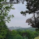 경기남부경찰청 용인체력단련장 방문 후기