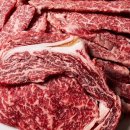 투뿔농장 이미지