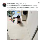 삼촌한테 선물받은 조카의 감격 이미지