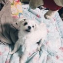 영종각