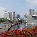 시민공원 남문 인근-2 이미지